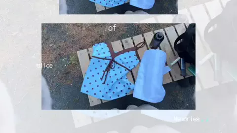 こむぎはだのTikTok投稿
