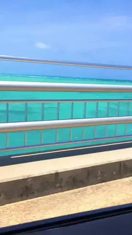 旅行大好き女子🐬🤍のTikTok投稿