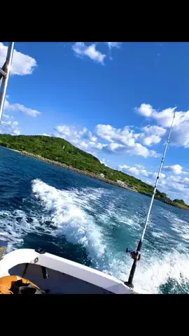 旅行大好き女子🐬🤍のTikTok投稿