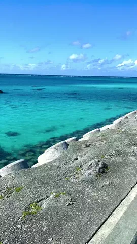 旅行大好き女子🐬🤍のTikTok投稿
