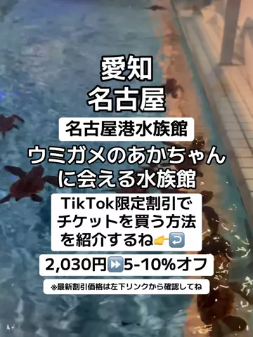 🌺なみひらりさ✈️🗺️｜絶景ホテル×コスパ旅のTikTok投稿