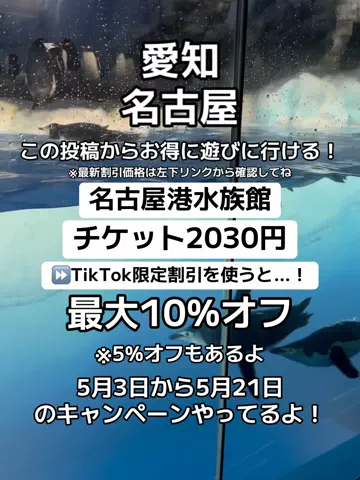 🌺なみひらりさ✈️🗺️｜絶景ホテル×コスパ旅のTikTok投稿