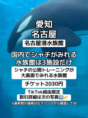 🌺なみひらりさ✈️🗺️｜絶景ホテル×コスパ旅のTikTok投稿
