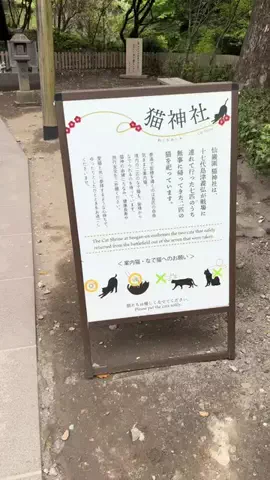 morimoriのTikTok投稿