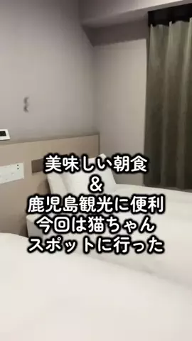 morimoriのTikTok投稿