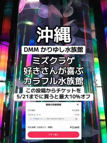 🌺なみひらりさ✈️🗺️｜絶景ホテル×コスパ旅のTikTok投稿