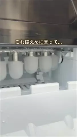 shimao_home_のTikTok投稿