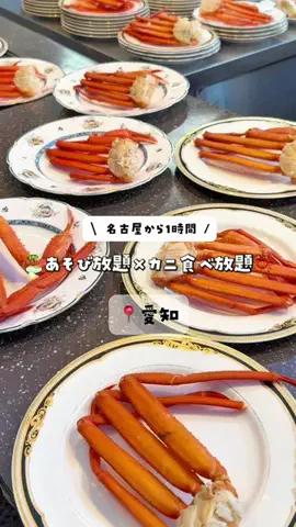 愛知おでかけ🧸のTikTok投稿