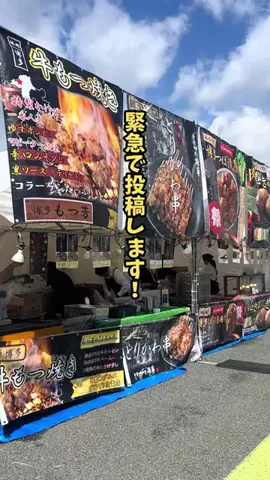 岩手情報局 |岩手県民に寄り添う総合メディアのTikTok投稿