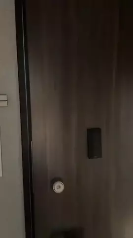 しんしん堂のTikTok投稿