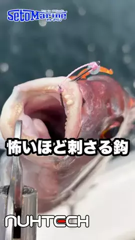 nuhtech.ceoのTikTok投稿