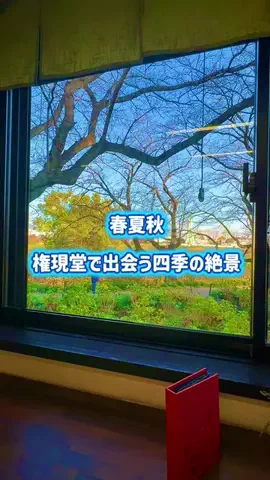 茨城と栃木の県境に住んでいますのTikTok投稿