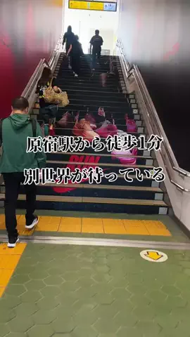 茨城と栃木の県境に住んでいますのTikTok投稿