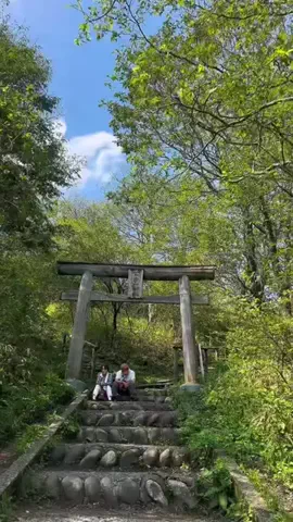 茨城と栃木の県境に住んでいますのTikTok投稿