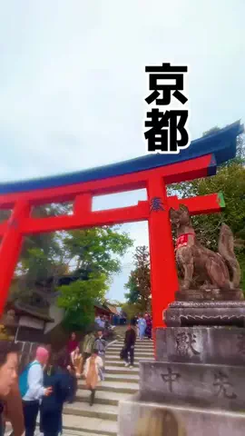 茨城と栃木の県境に住んでいますのTikTok投稿