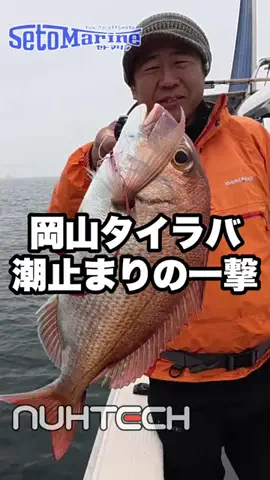 nuhtech.ceoのTikTok投稿