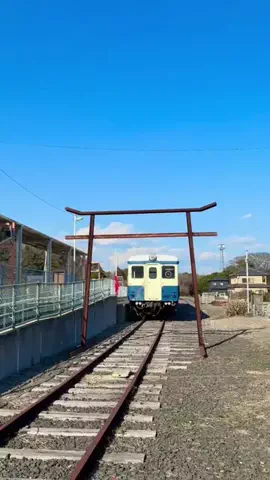 茨城と栃木の県境に住んでいますのTikTok投稿
