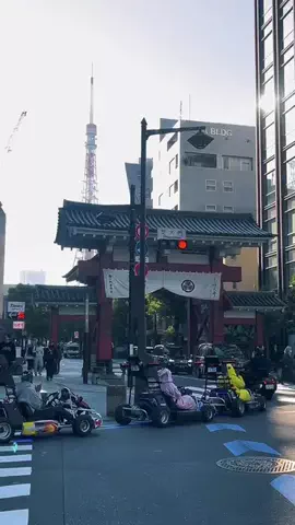 茨城と栃木の県境に住んでいますのTikTok投稿