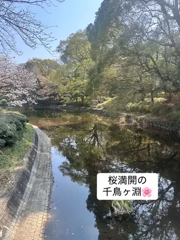 AsamiのあさいチャンネルのTikTok投稿