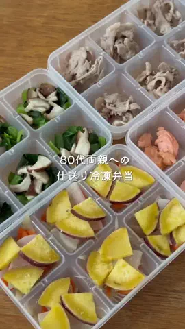 こぐまのTikTok投稿