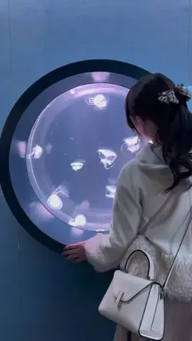 旅するめぐも✈️のTikTok投稿