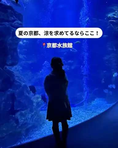 旅するめぐも✈️のTikTok投稿