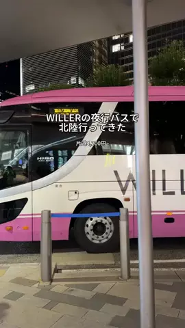 いねのTikTok投稿