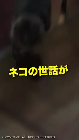 しんのすけ🎬映画感想のTikTok投稿