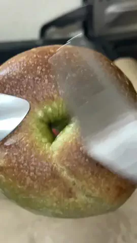 ぽぽのTikTok投稿