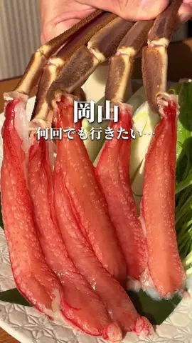 岡山グルメ｜また行きたいお店だけのTikTok投稿