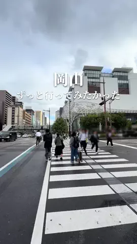 岡山グルメ｜また行きたいお店だけのTikTok投稿