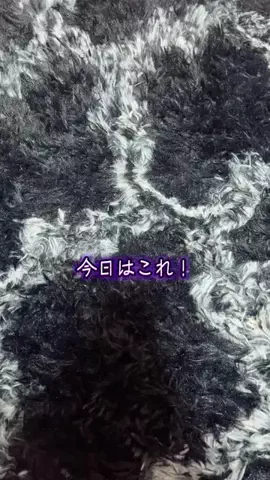 🐉💖あみちゃそ💖🤪のTikTok投稿
