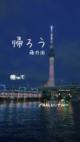 🌈NALU☺︎ナルーのTikTok投稿
