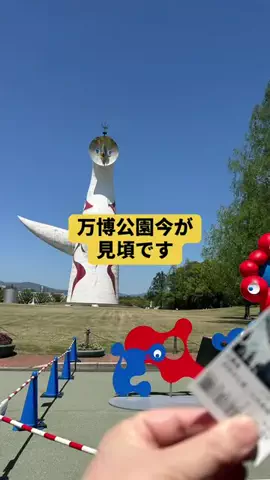 Merry Marry【結婚相談所】のTikTok投稿
