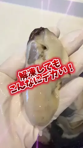 foodroomのTikTok投稿