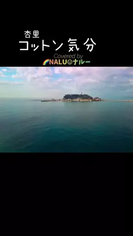 🌈NALU☺︎ナルーのTikTok投稿