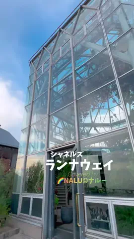 🌈NALU☺︎ナルーのTikTok投稿
