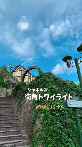 🌈NALU☺︎ナルーのTikTok投稿