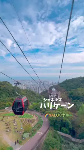 🌈NALU☺︎ナルーのTikTok投稿