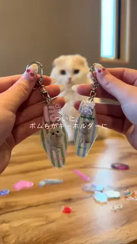pomme.desu__のTikTok投稿