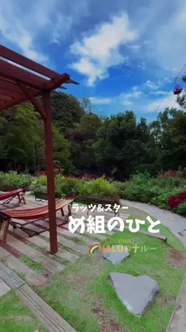 🌈NALU☺︎ナルーのTikTok投稿
