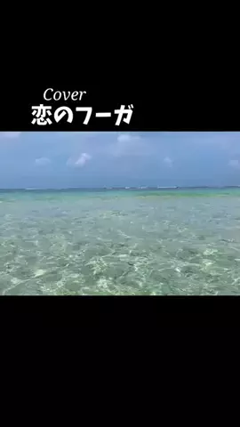 🌈NALU☺︎ナルーのTikTok投稿