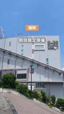 こなつ | 福岡子連れおでかけのTikTok投稿