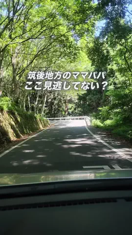 こなつ | 福岡子連れおでかけのTikTok投稿