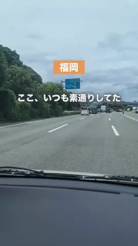 こなつ | 福岡子連れおでかけのTikTok投稿