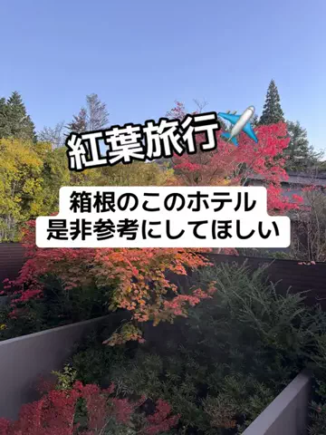 37歳おっさん旅垢のTikTok投稿