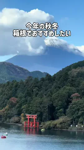 37歳おっさん旅垢のTikTok投稿