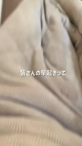 鰻食べたい@手取り15万のTikTok投稿