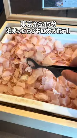 37歳おっさん旅垢のTikTok投稿