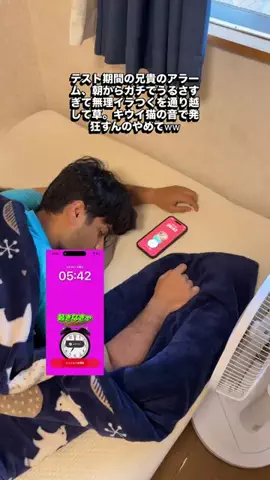 ハビブ達のTikTok投稿
